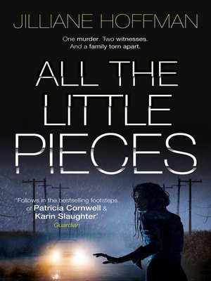 cover image of All the Little Pieces